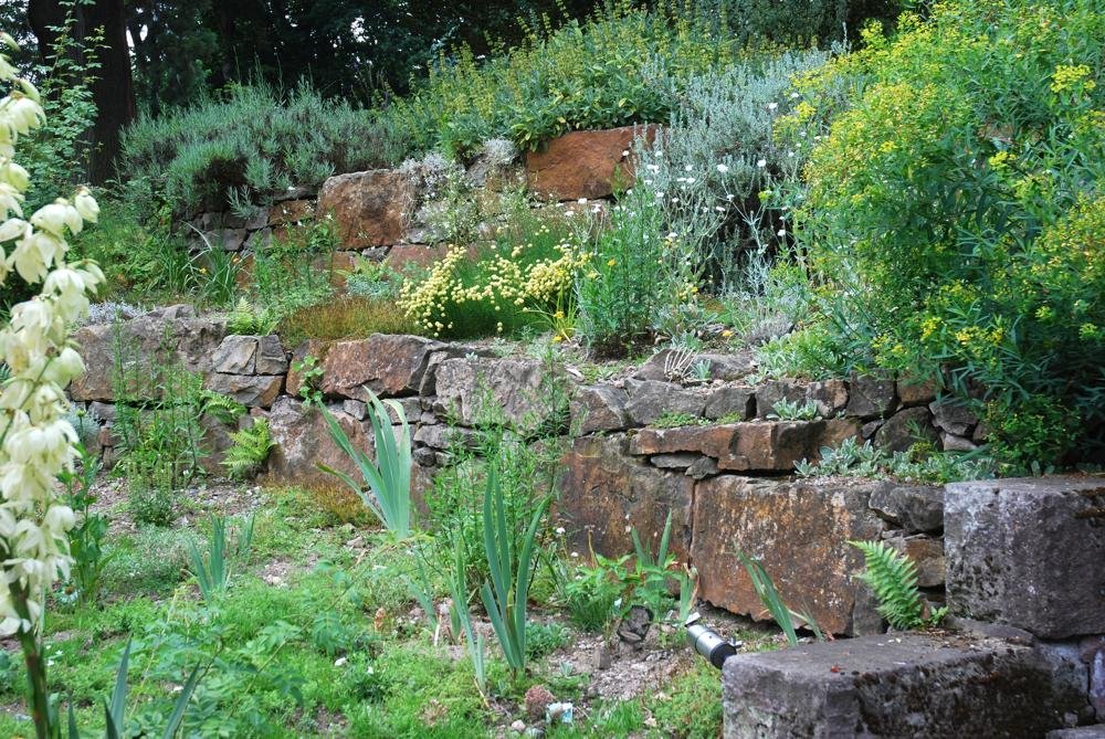 Terassengarten mit Trockenmauern und Wildkräuterbewuchs